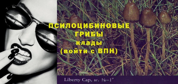соль ск Заводоуковск