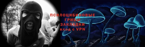 ГАЛЛЮЦИНОГЕННЫЕ ГРИБЫ Заволжск
