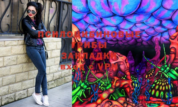 соль ск Заводоуковск