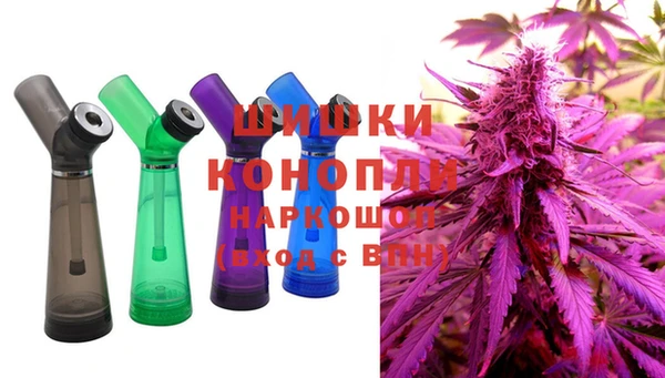 соль ск Заводоуковск