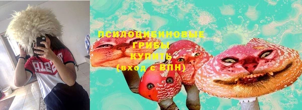 соль ск Заводоуковск