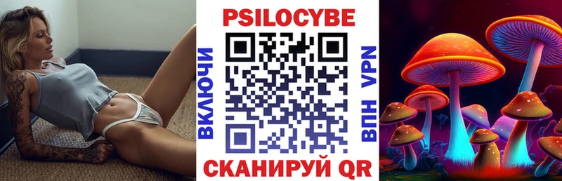 Купить  Звенигово  Псилоцибиновые грибы Psilocybe 